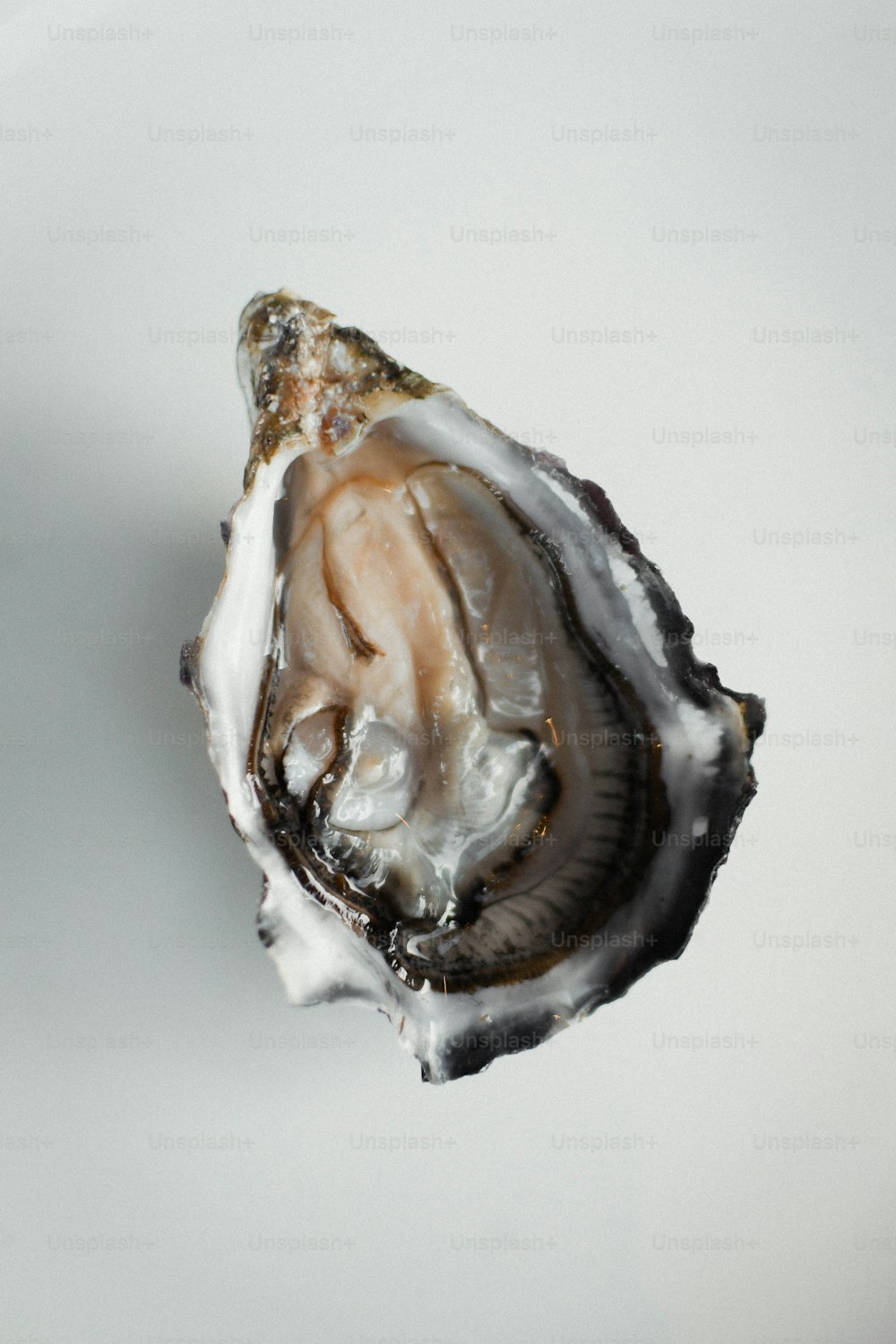 uma ostra meio comido em uma superfície branca