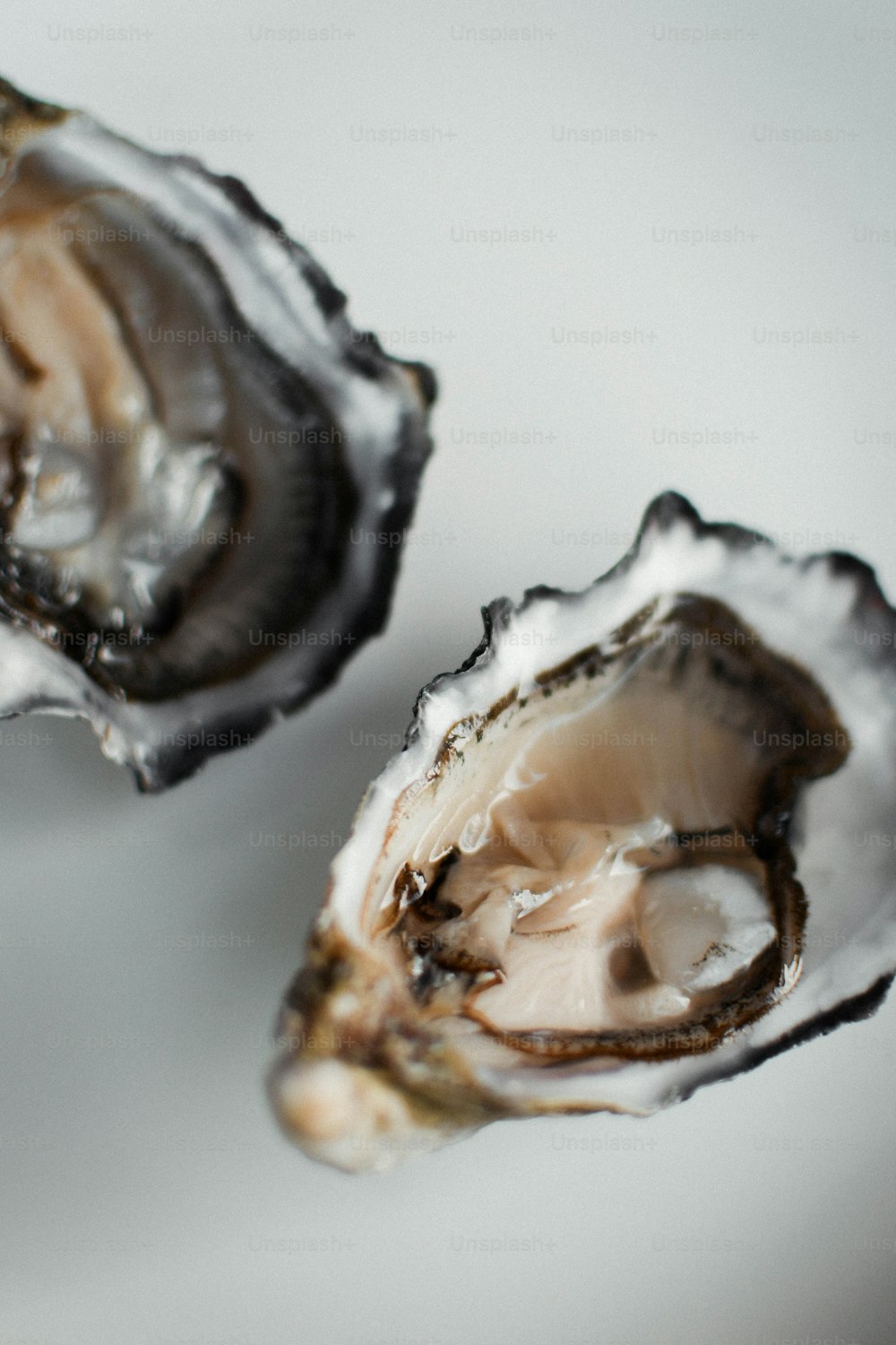 uma ostra meio comido em uma superfície branca