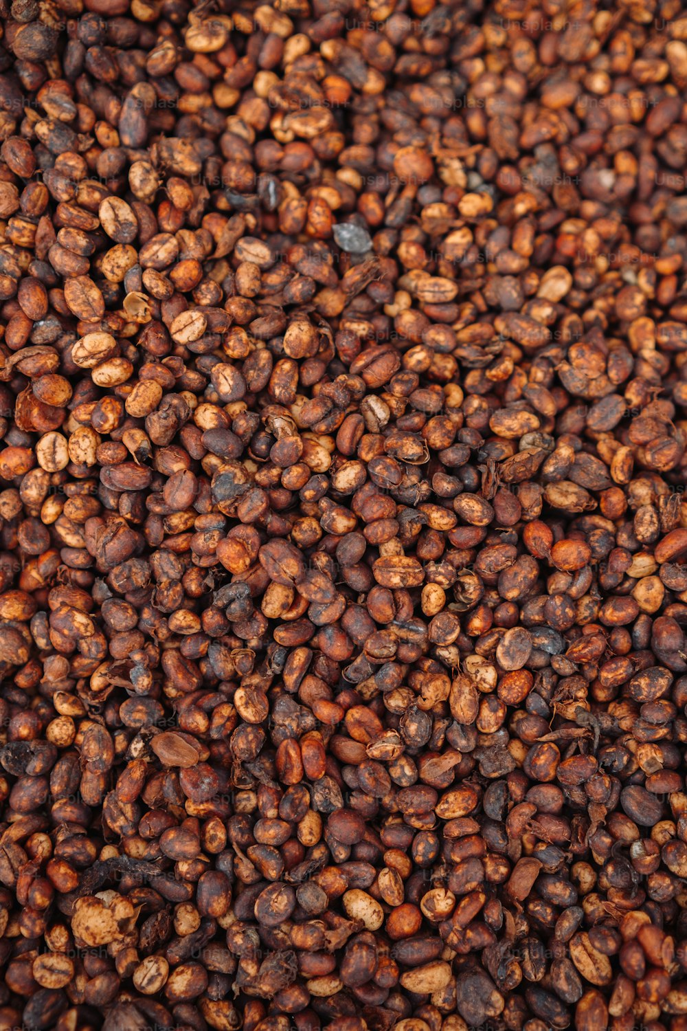 a pile of coffee beans sitting on top of a table