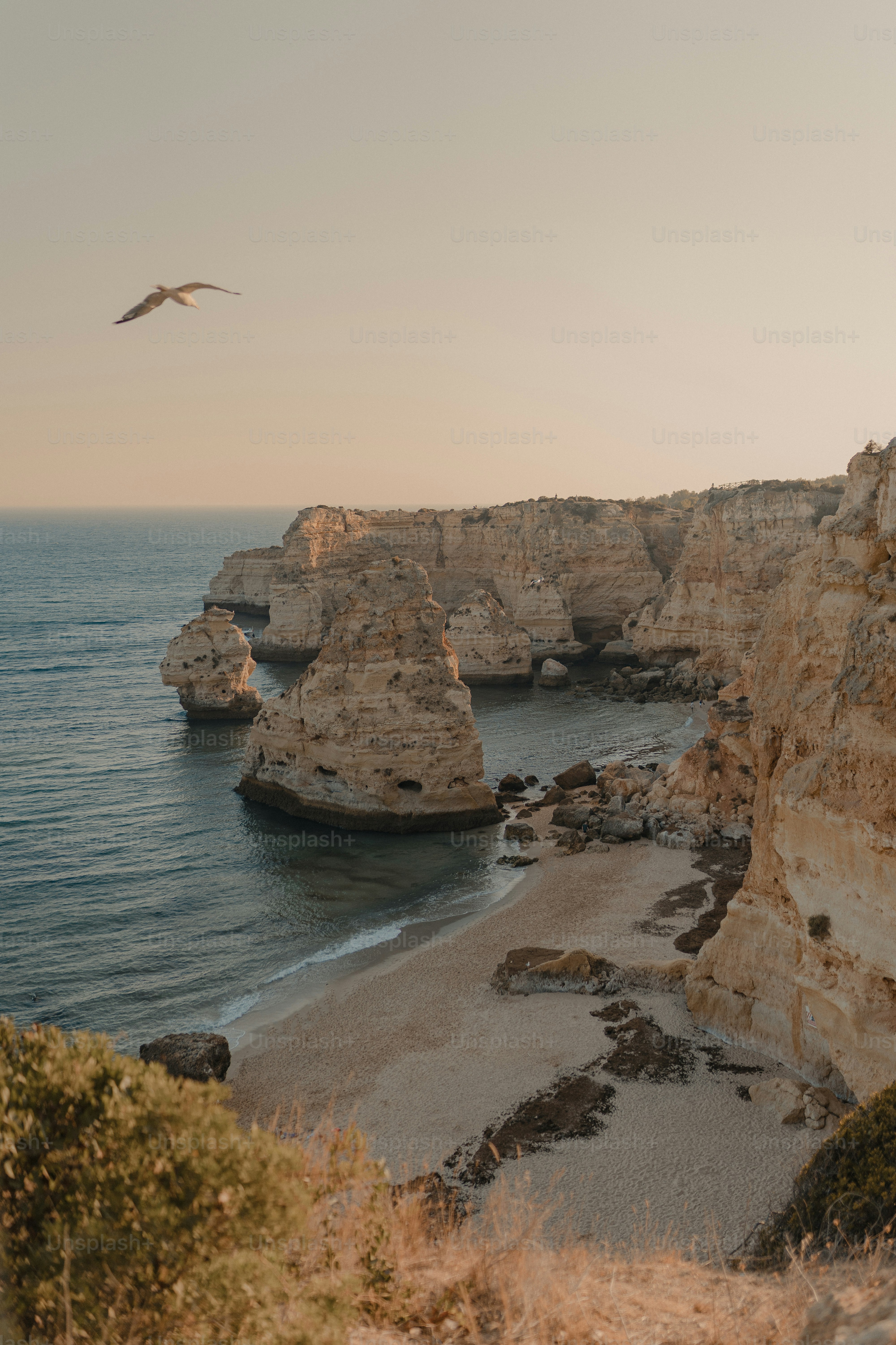 海の隣の岩だらけのビーチの上を飛ぶ鳥