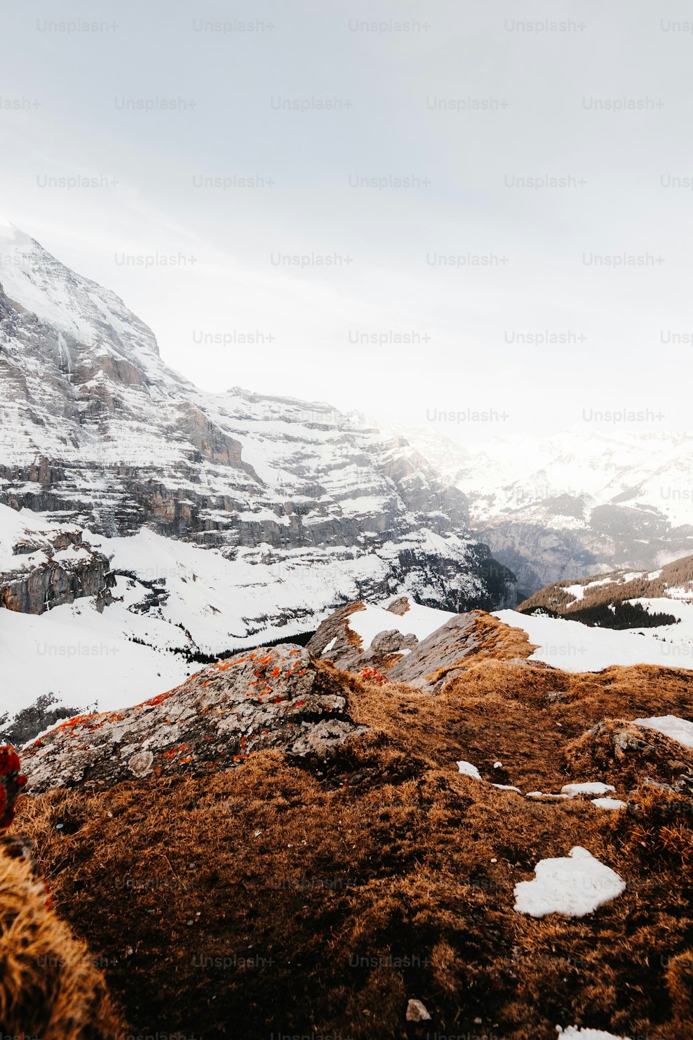 a snow covered mountain with a red fire hydrant in the foreground