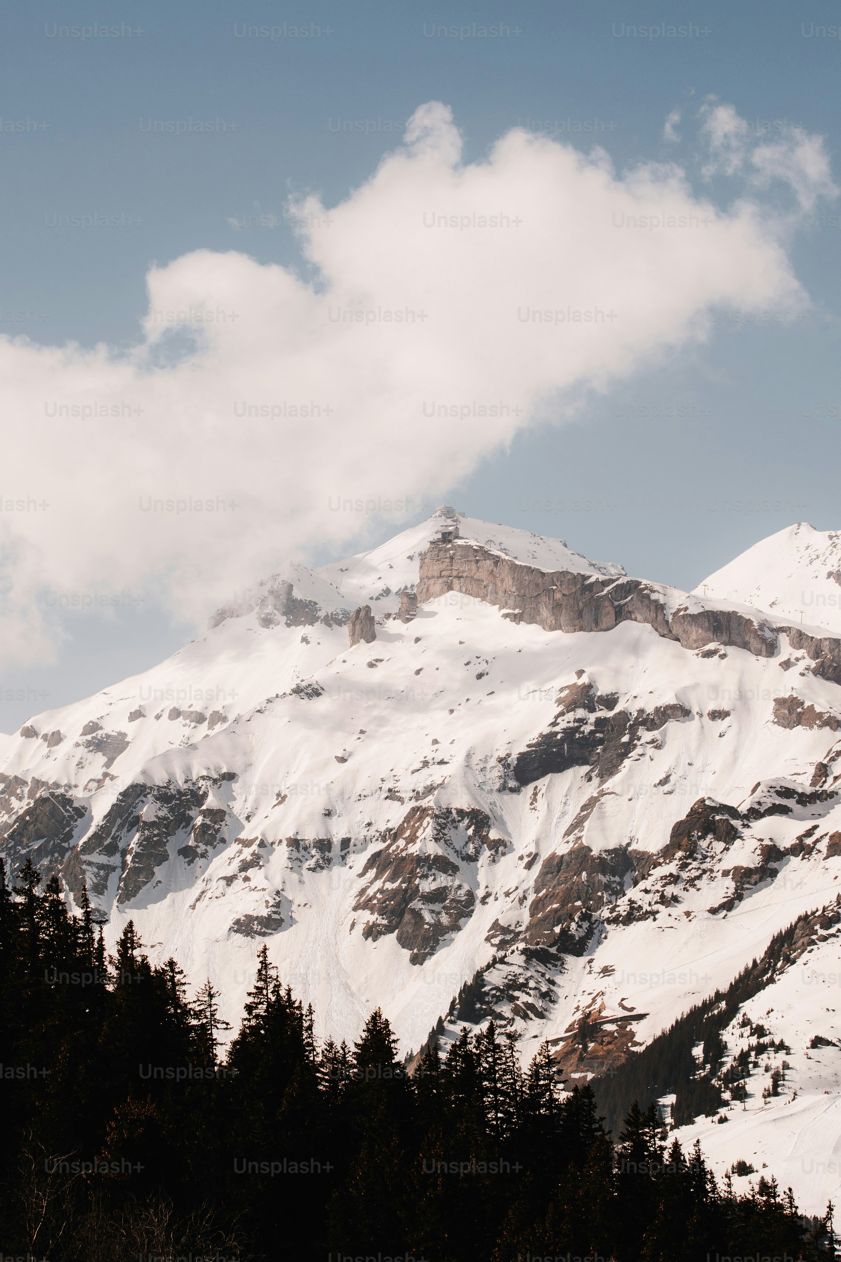 Une montagne enneigée avec des arbres au premier plan