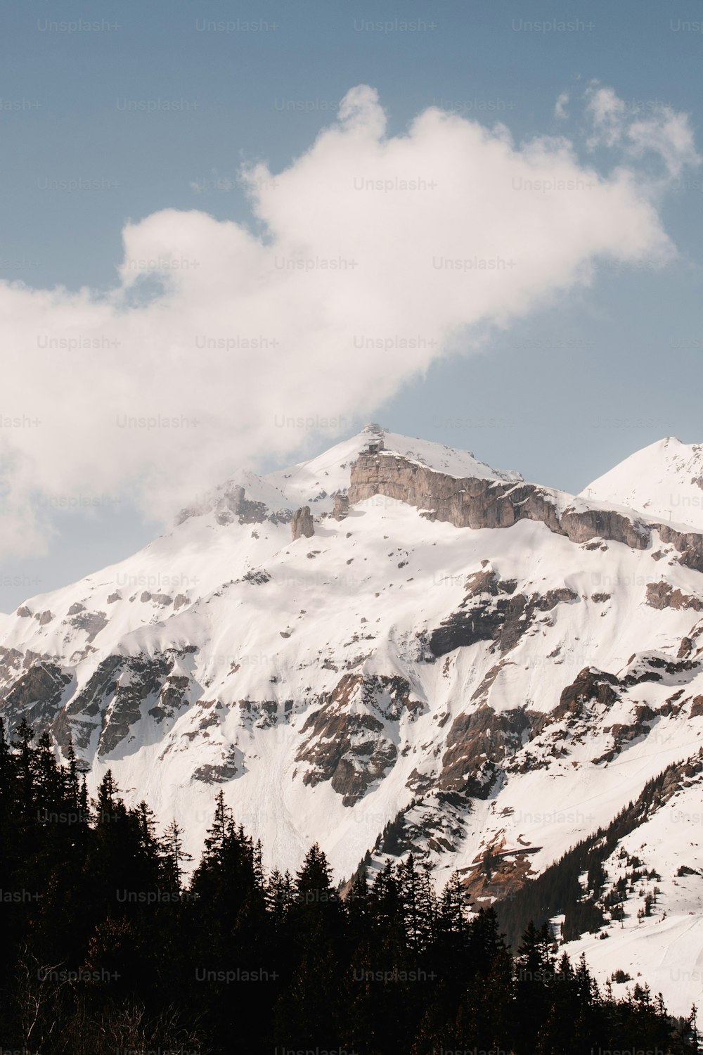 a snow covered mountain with trees in the foreground