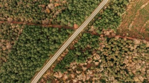 an aerial view of a road surrounded by trees