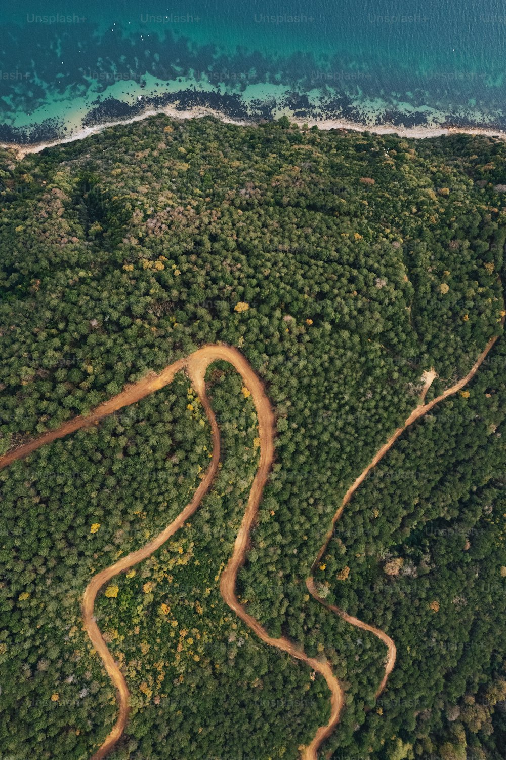 Luftaufnahme einer kurvenreichen Straße mitten im Wald