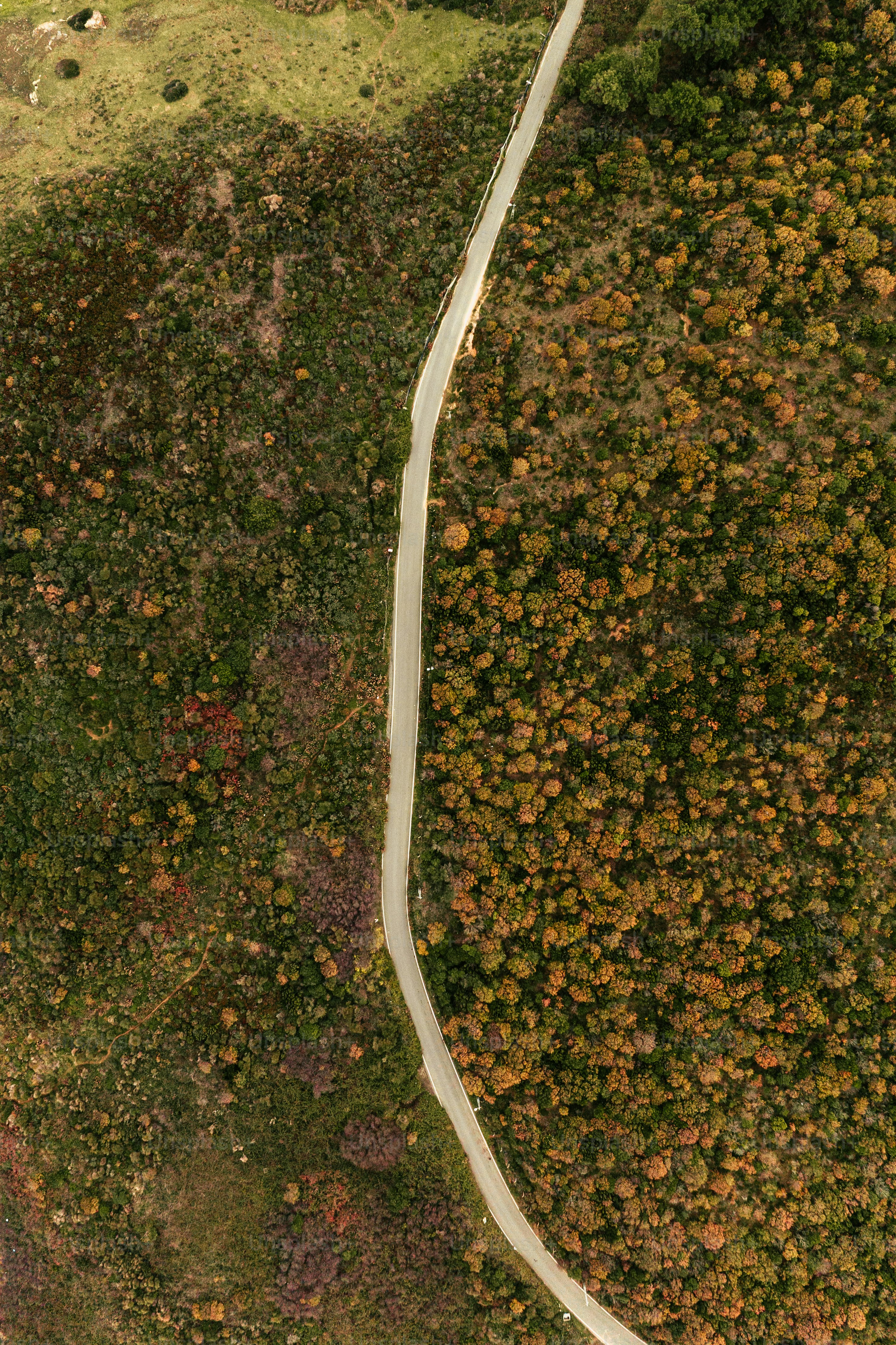an aerial view of a winding road surrounded by trees