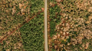 an aerial view of a road running through a forest