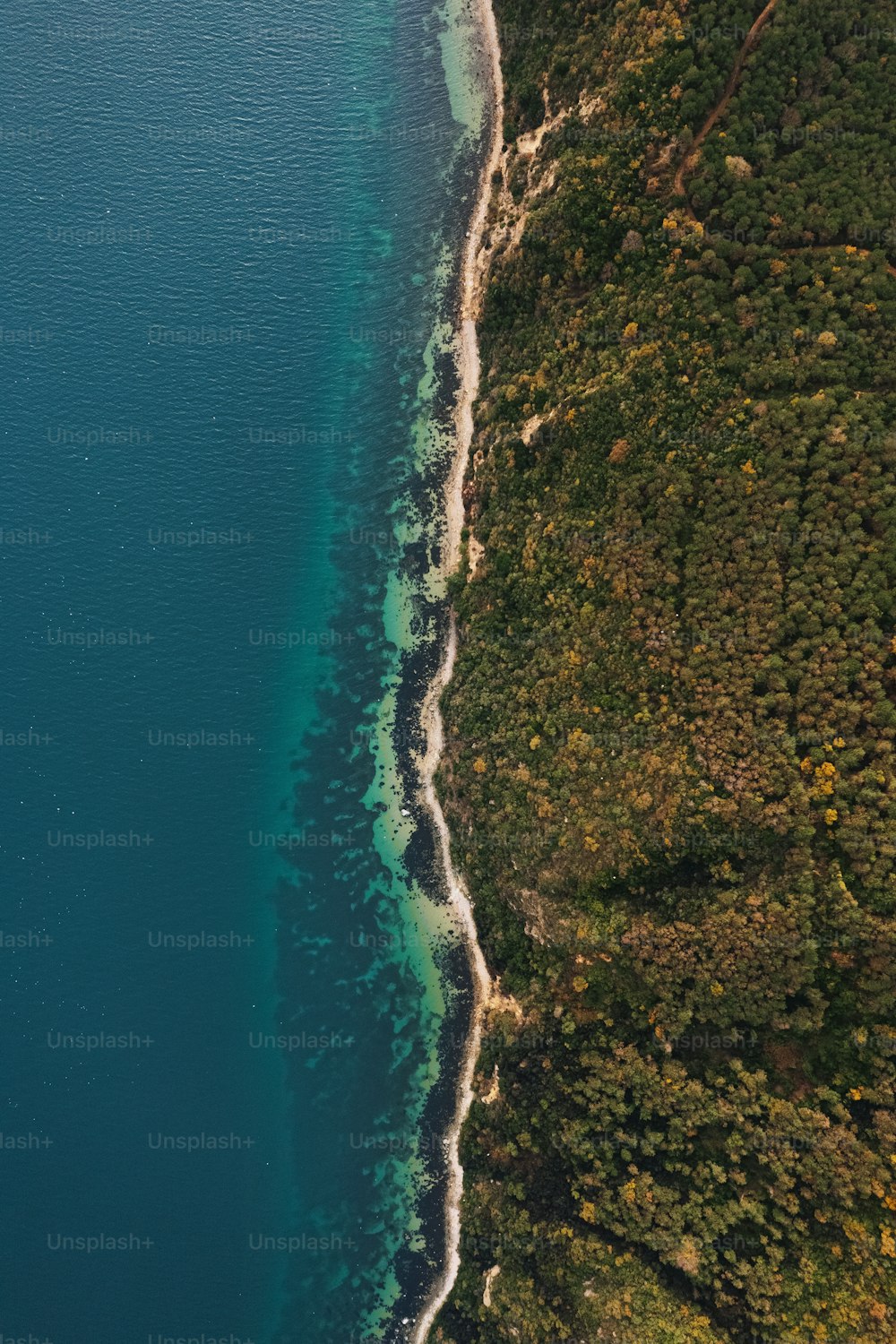 an aerial view of a body of water near a beach