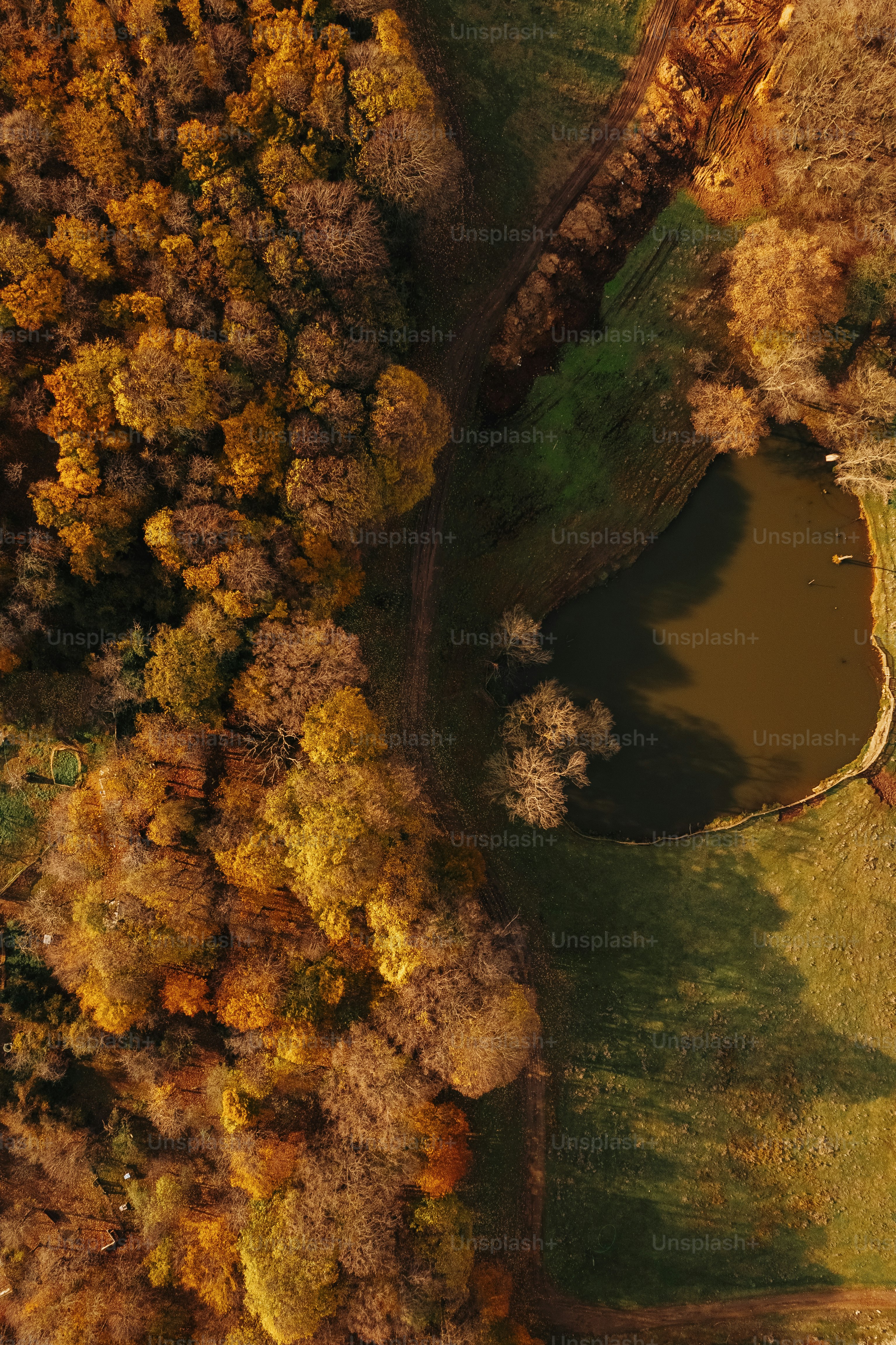 an aerial view of a wooded area with a pond