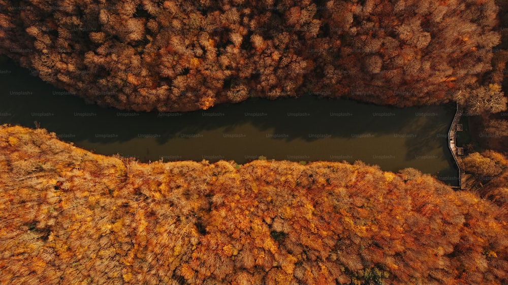 an aerial view of a body of water surrounded by trees