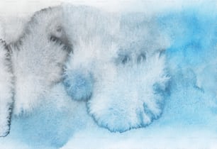 ホ��ッキョクグマの毛皮の水彩画