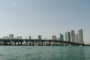 都市を背景にした水�域に架かる橋