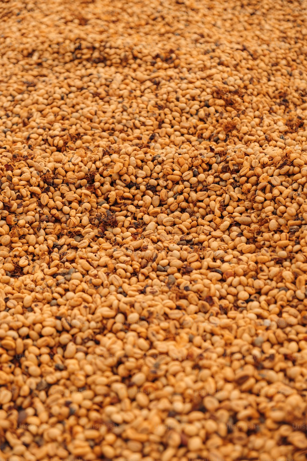 a pile of brown grains sitting on top of a table