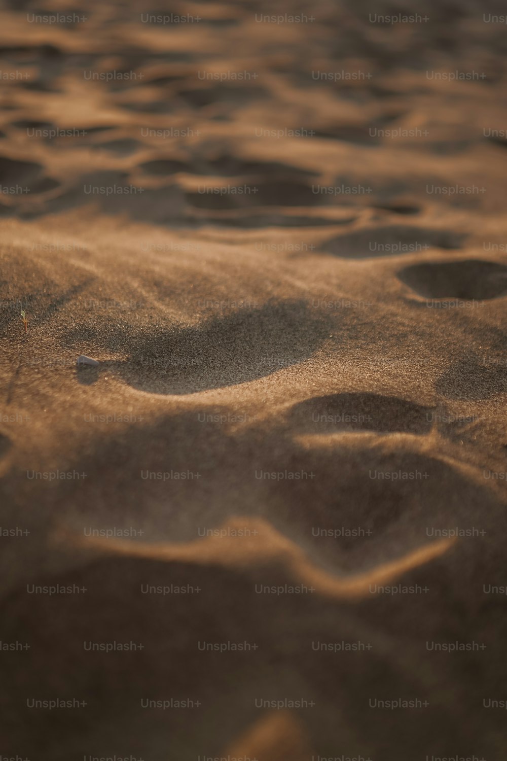 Huellas en la arena de una playa de arena