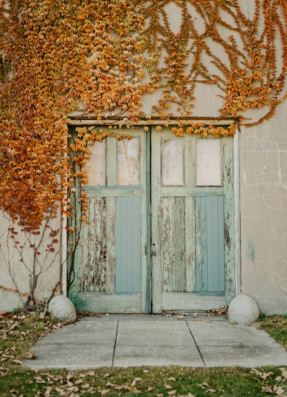 une vieille porte avec des vignes poussant dessus