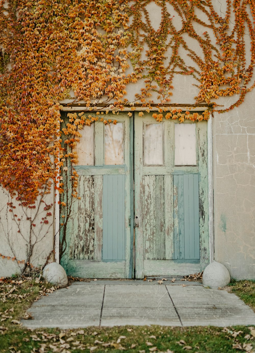 an old door with vines growing over it