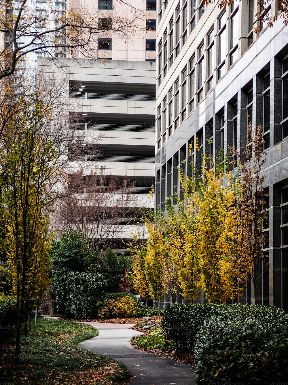 a walkway in a city with tall buildings in the background