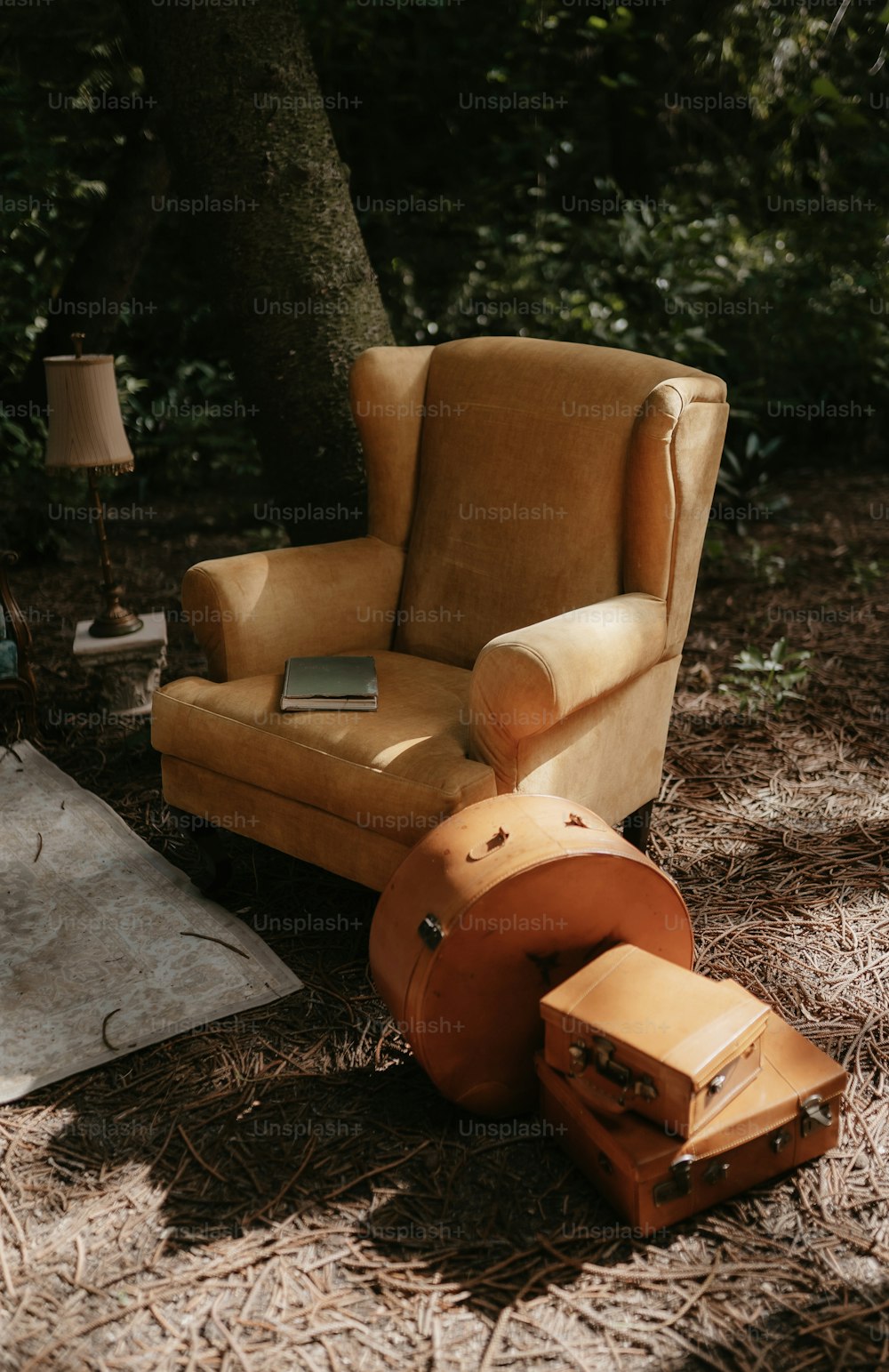 a chair, suitcases, and a lamp in the woods