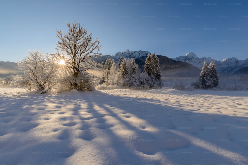 a snow covered field with trees and mountains in the background