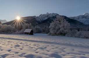 the sun shines brightly over a snowy landscape