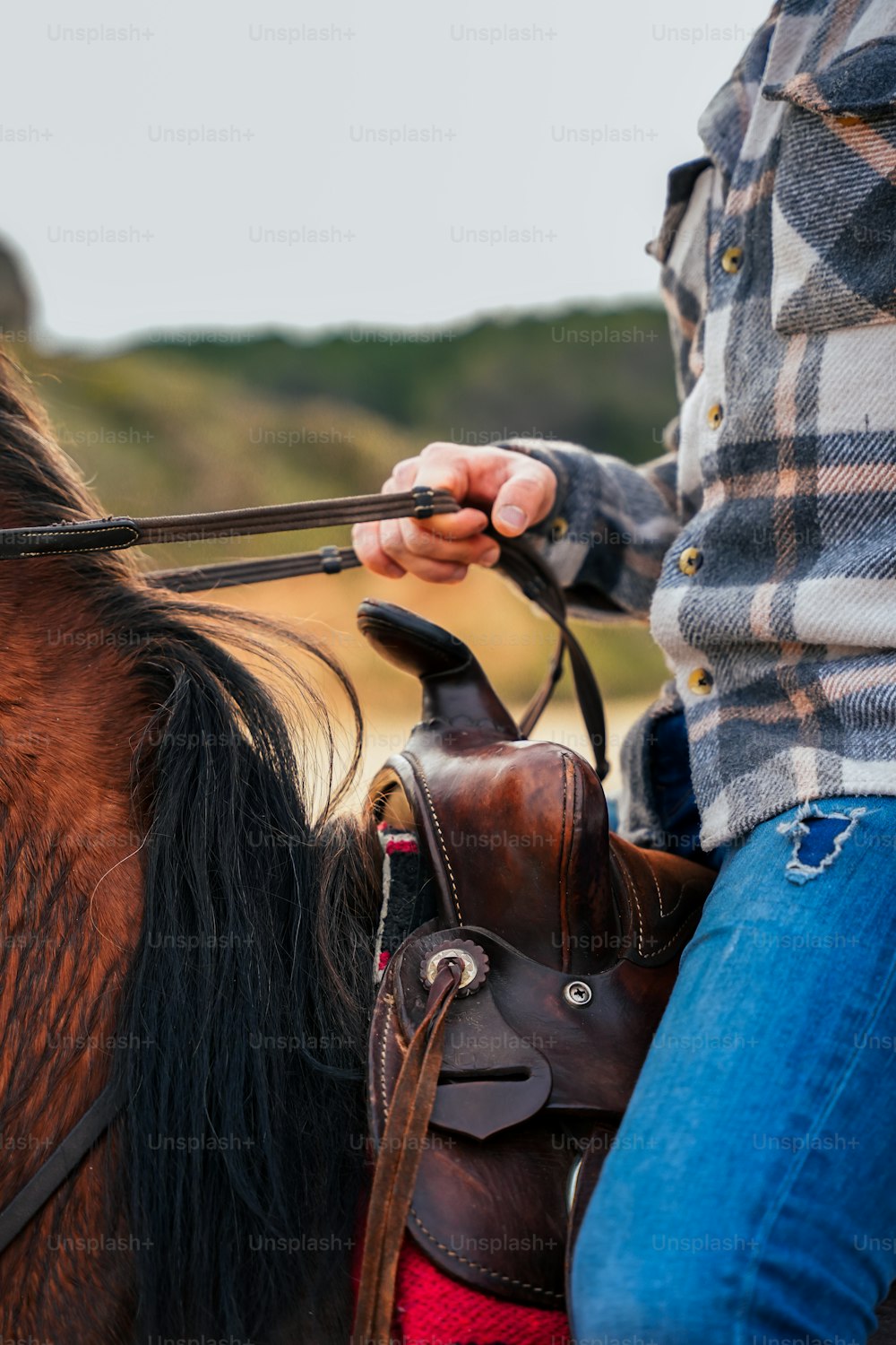 a close up of a person riding a horse
