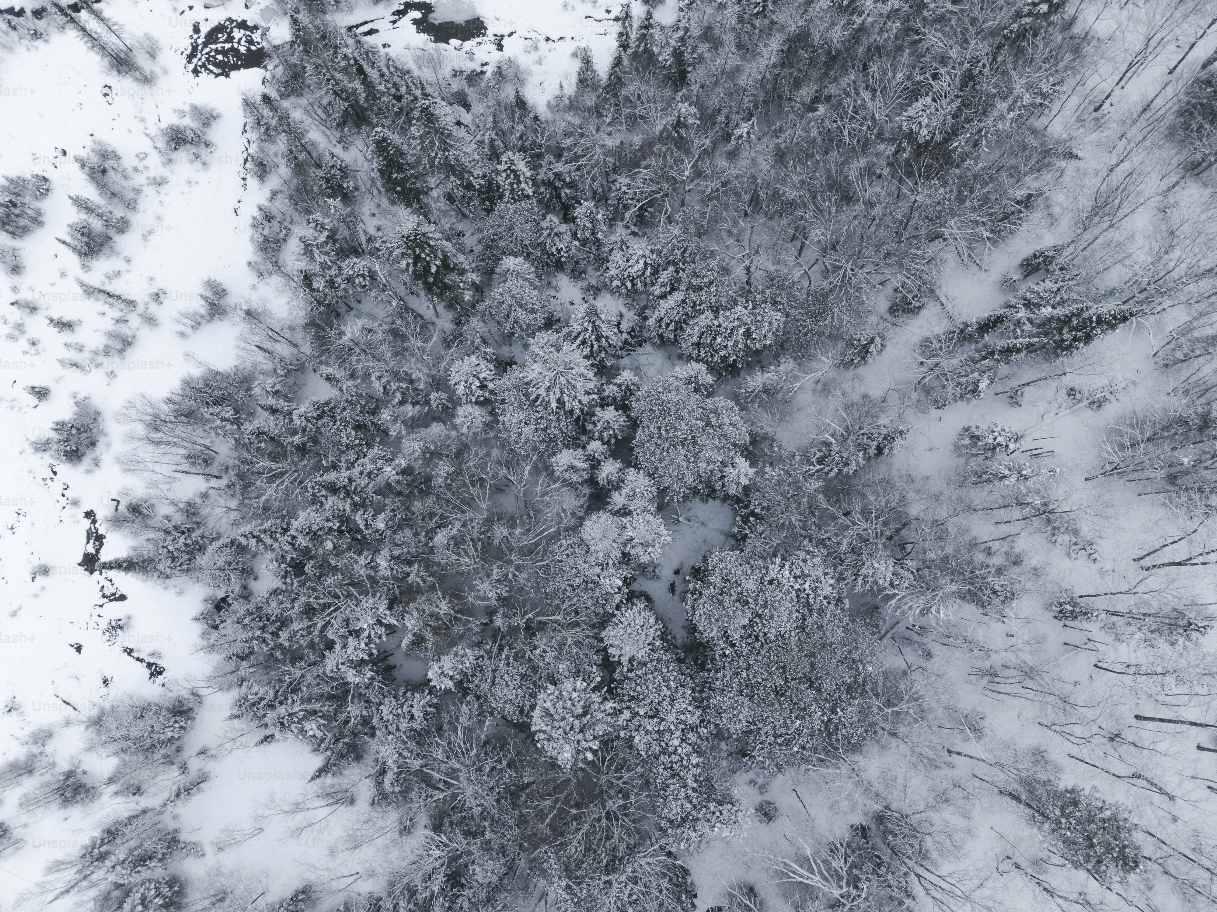 Nature produces the most astoundingly beautiful images: the swirling lava of a volcano, palm trees against a blue sky, snow-capped mountains towering above. Unsplash has magnificent , high-quality photos of all the delights that nature has to offer.