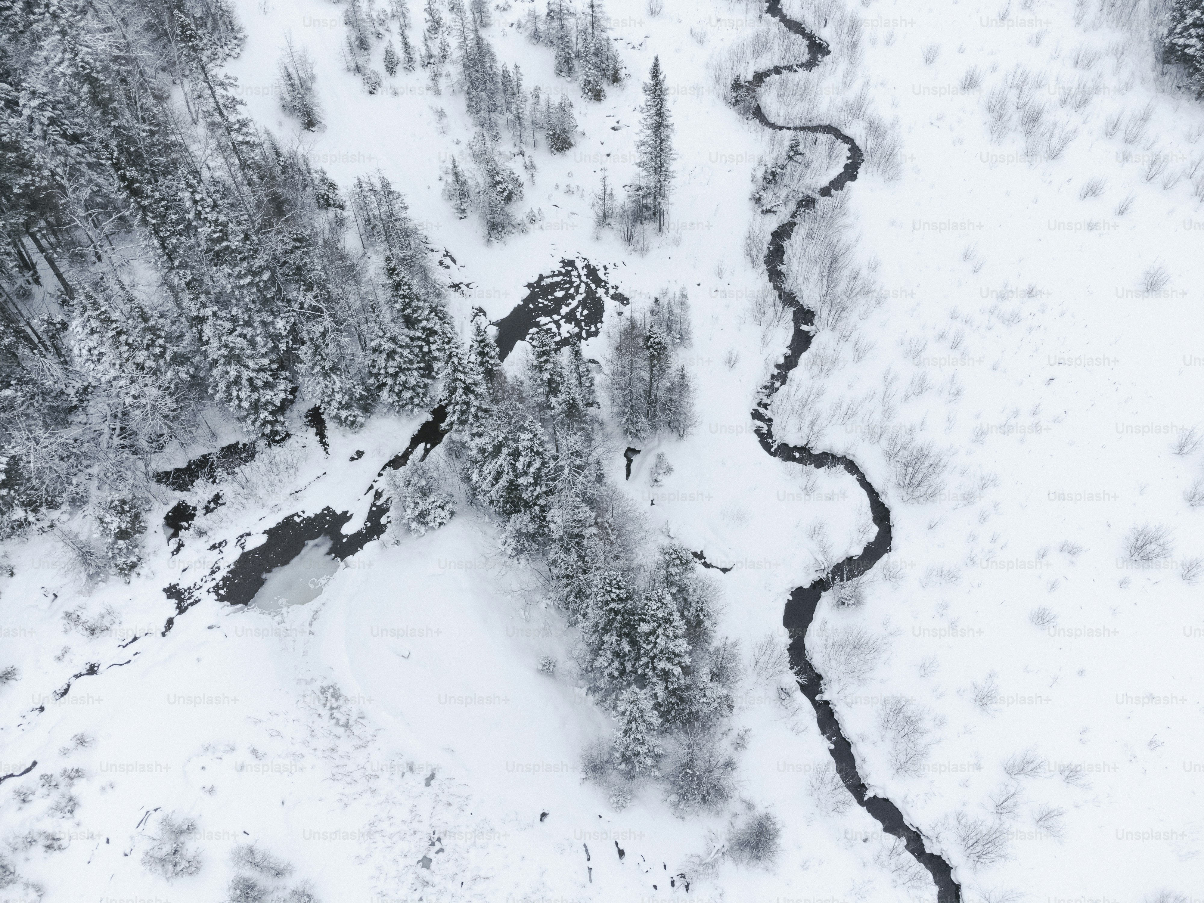 An aerial view of a snow covered forest photo – Forest Image on Unsplash