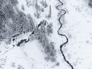 an aerial view of a river running through a snow covered forest