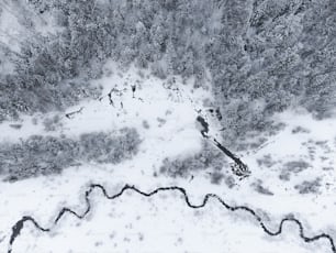 an aerial view of a snow covered forest