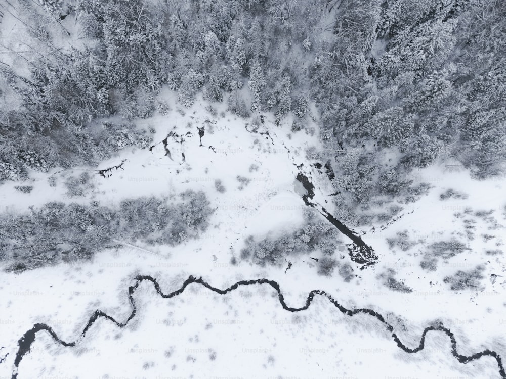 an aerial view of a snow covered forest