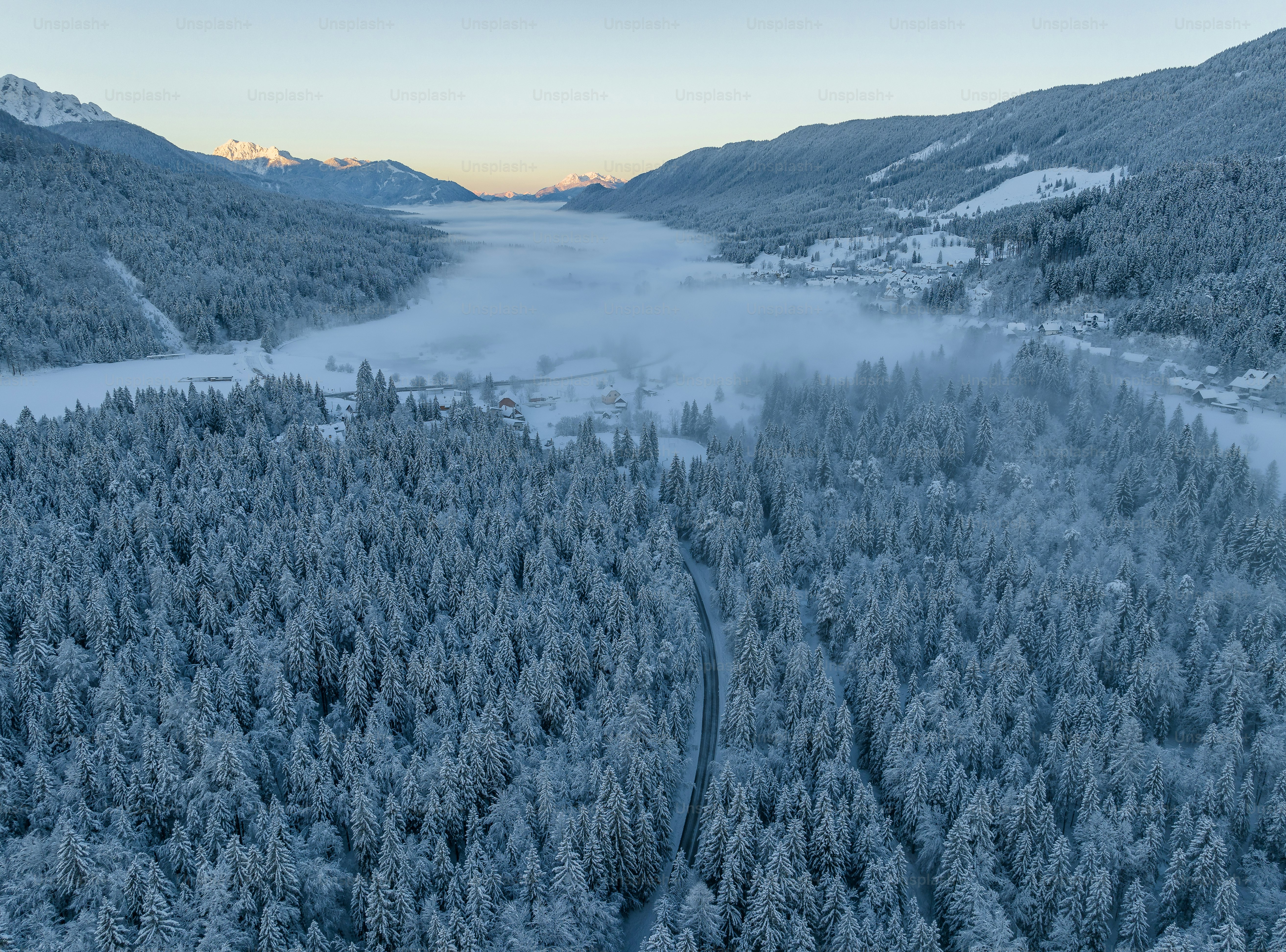 una veduta aerea di una foresta innevata