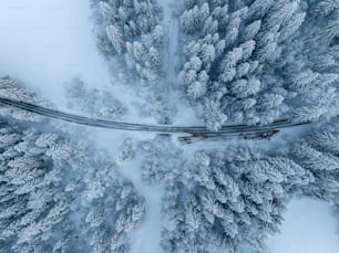 Eine Straße mitten in einem verschneiten Wald