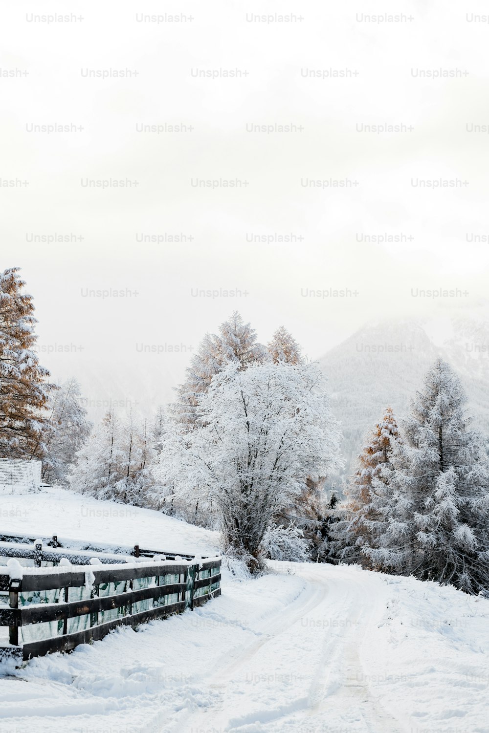 um campo coberto de neve com uma cerca de madeira