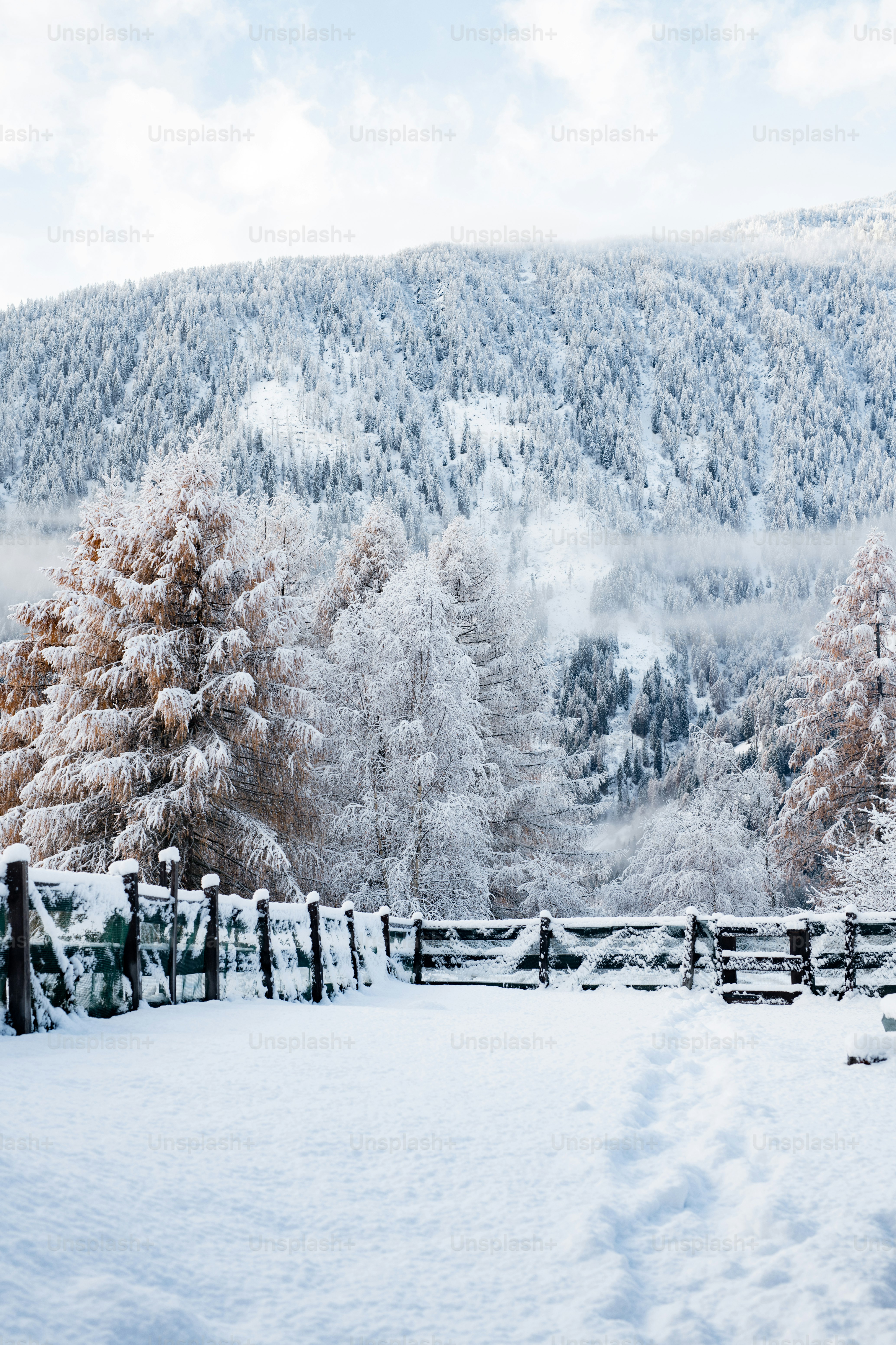 Images de Fond De Neige | Téléchargez des images gratuites sur Unsplash, image size:3000x4500