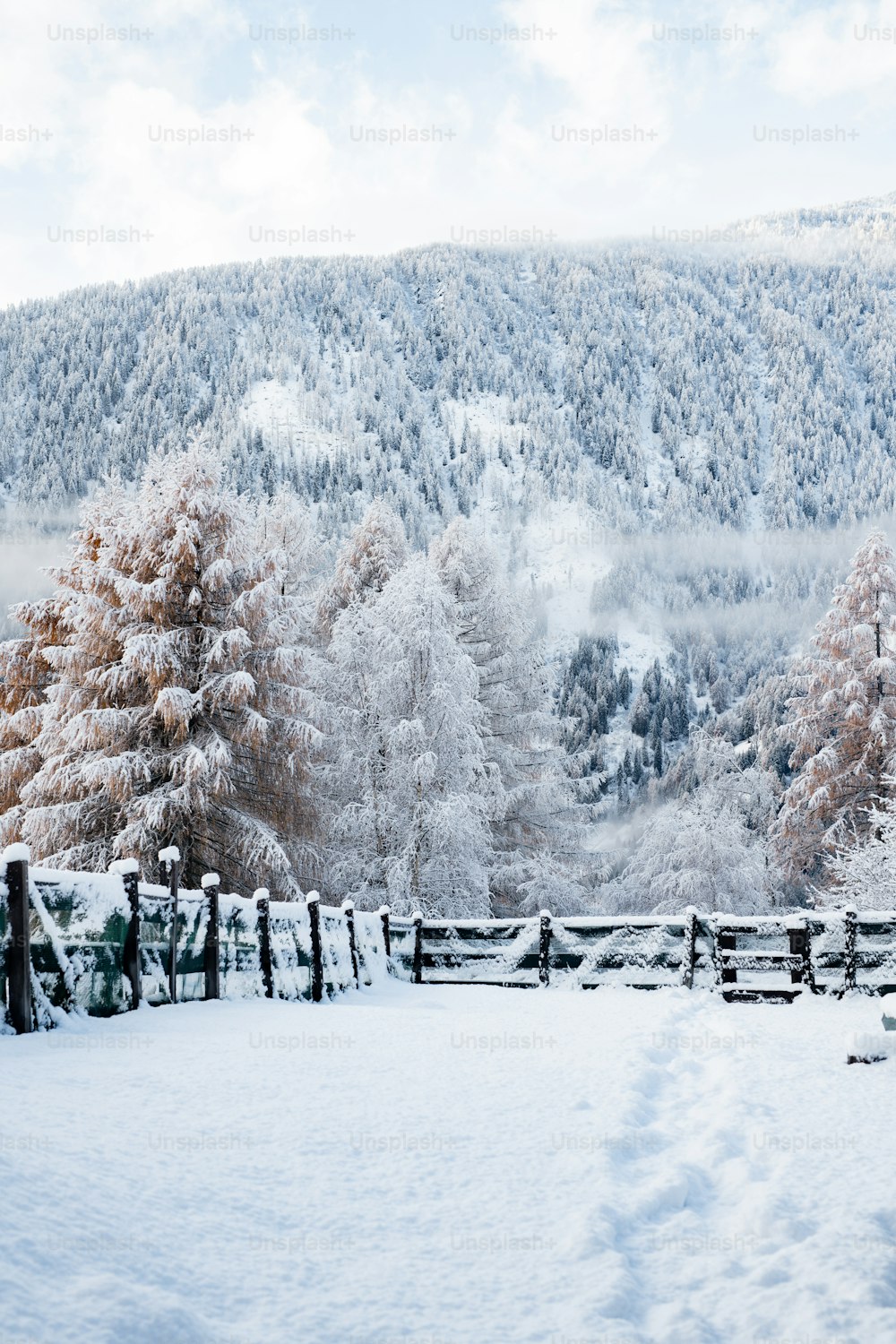 a snowy landscape with a fence and trees