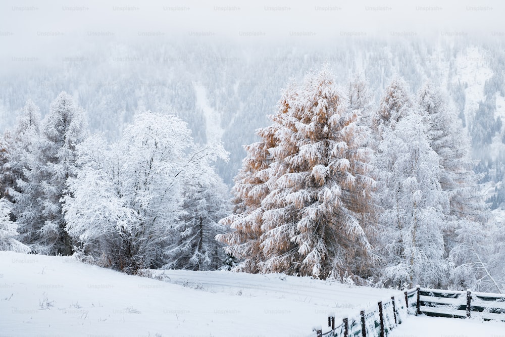 Un paisaje nevado con una valla y árboles