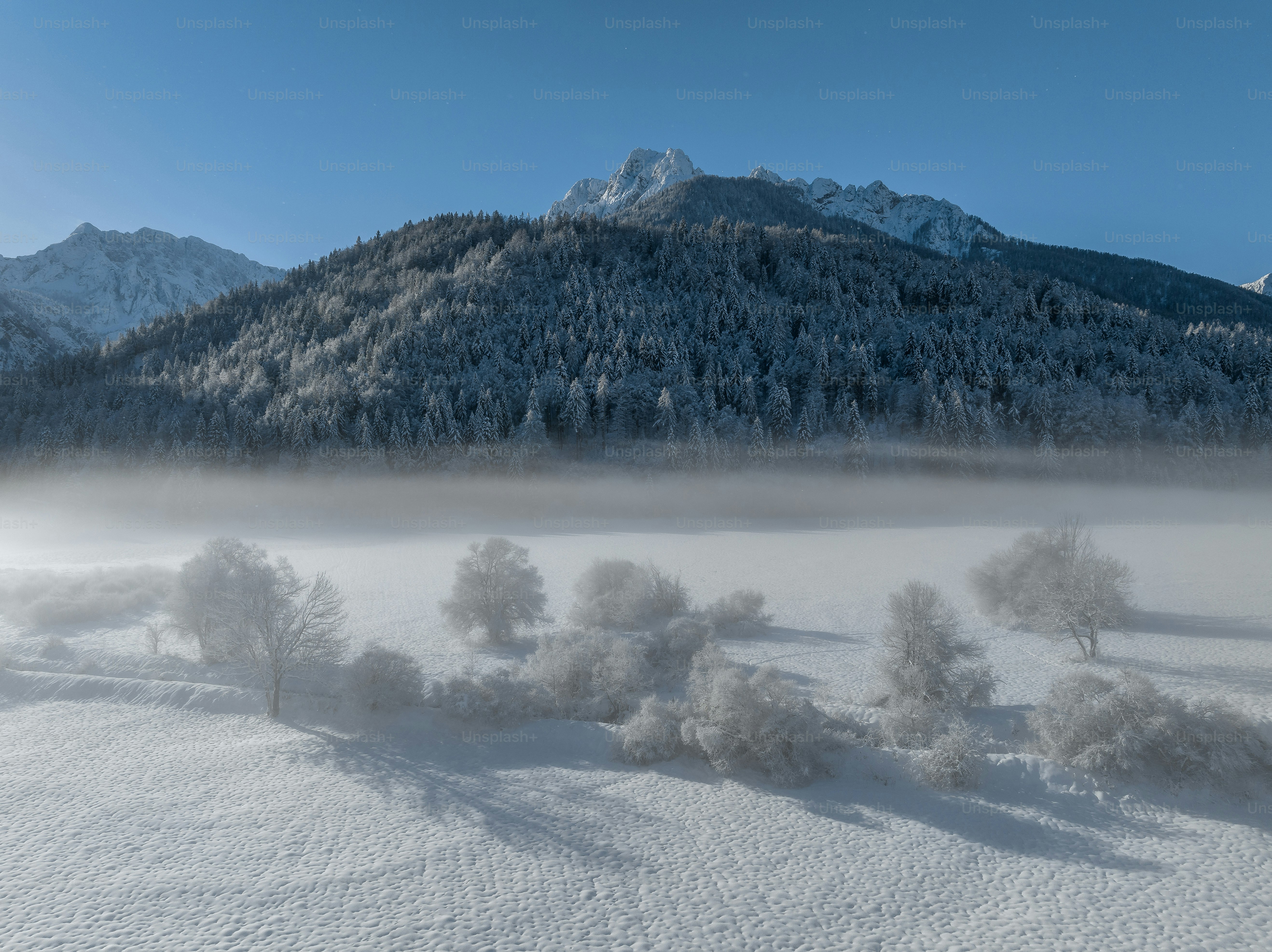 a mountain covered in snow with trees in the foreground