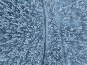 an aerial view of a snow covered forest