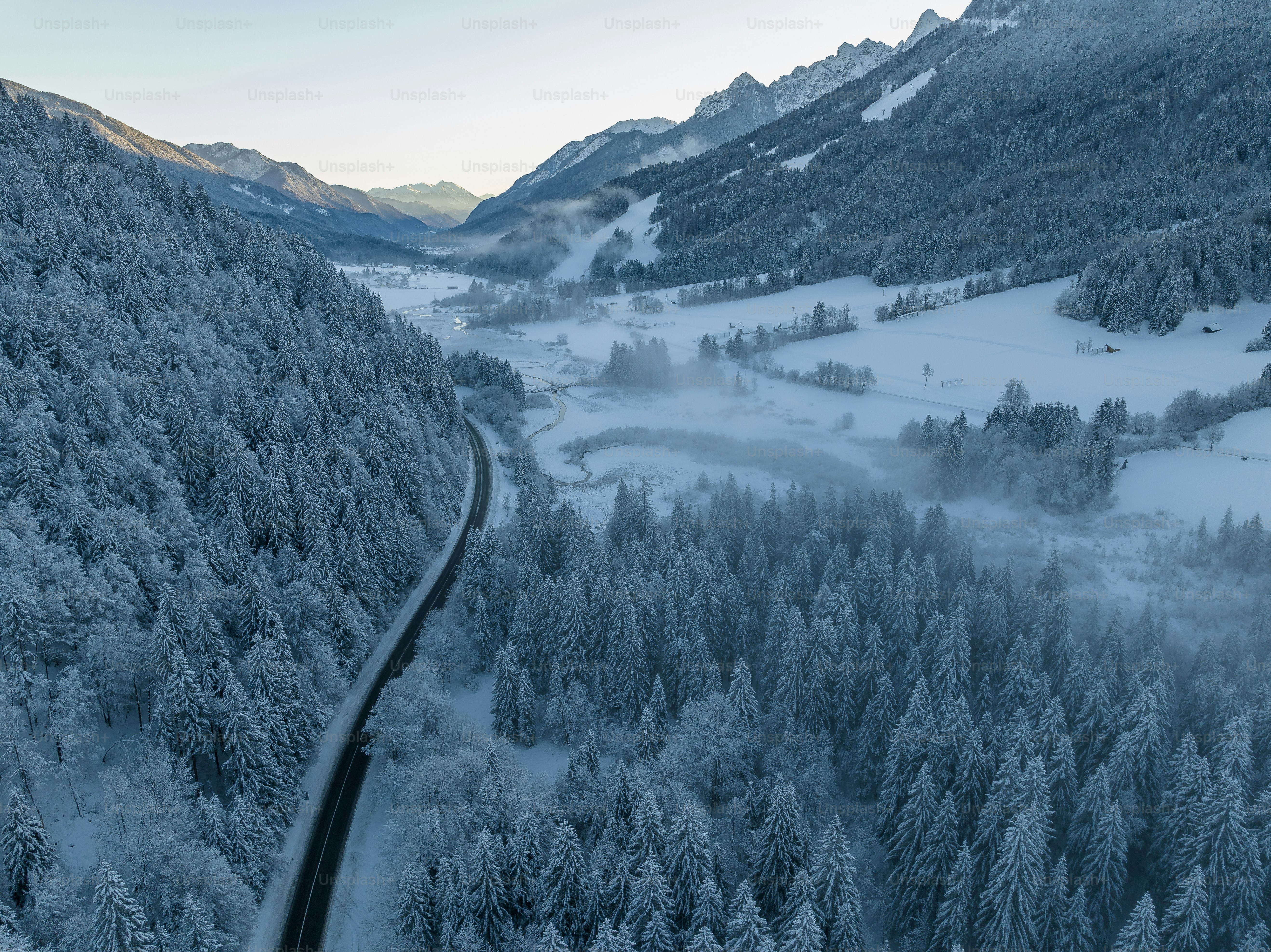 a train traveling through a snow covered forest