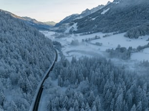 a train traveling through a snow covered forest