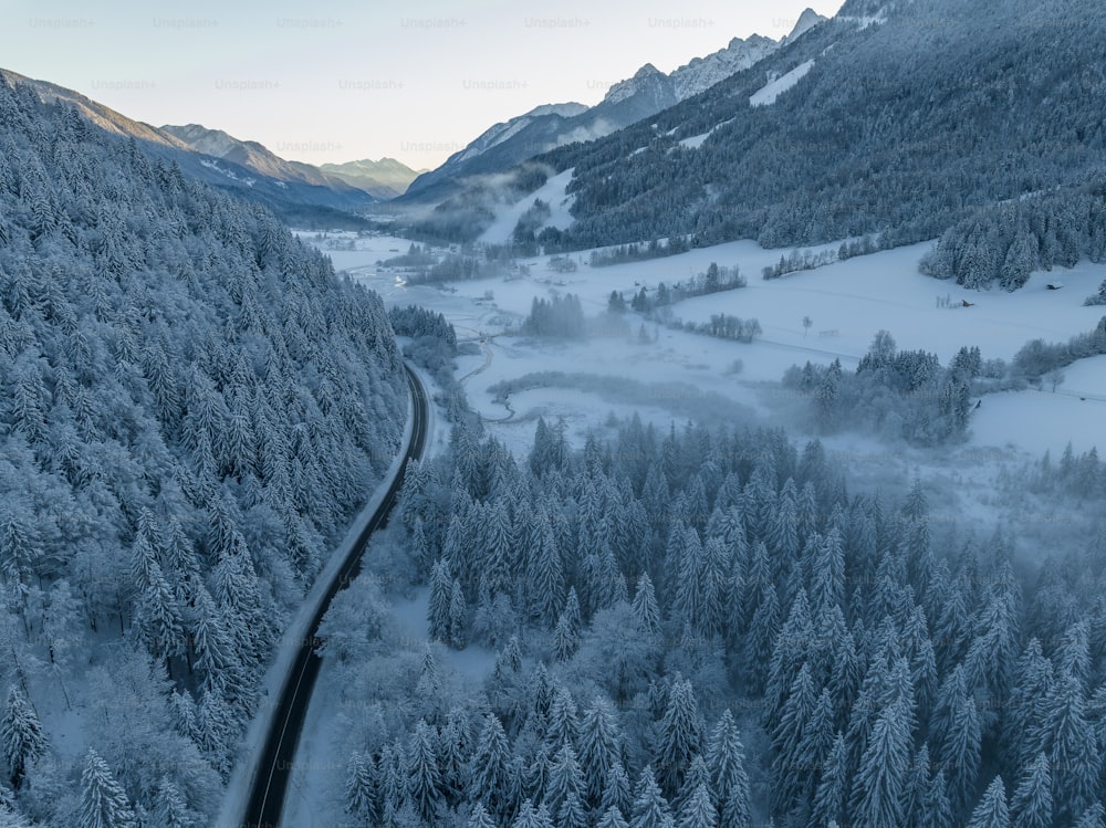 um trem viajando através de uma floresta coberta de neve