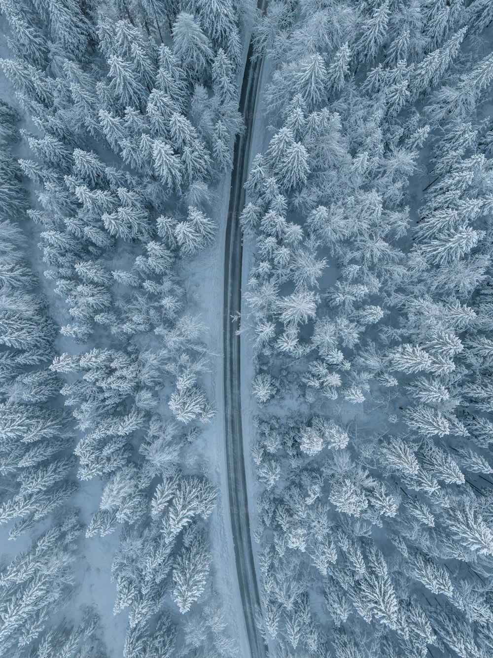 an aerial view of a road through a snow covered forest