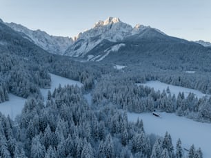 a snow covered forest with a mountain in the background