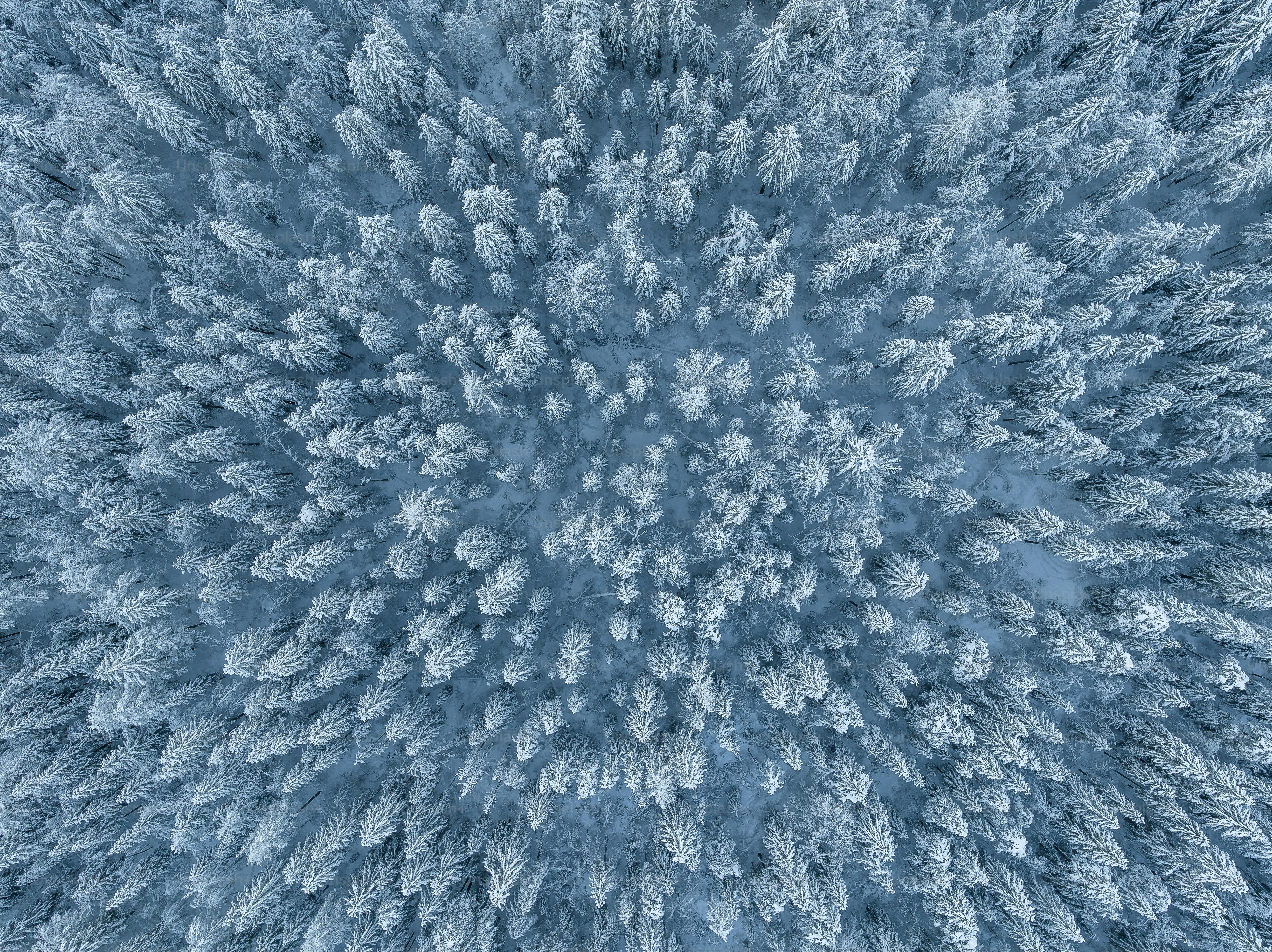 An aerial view of a snow covered forest photo – Winter Image on Unsplash