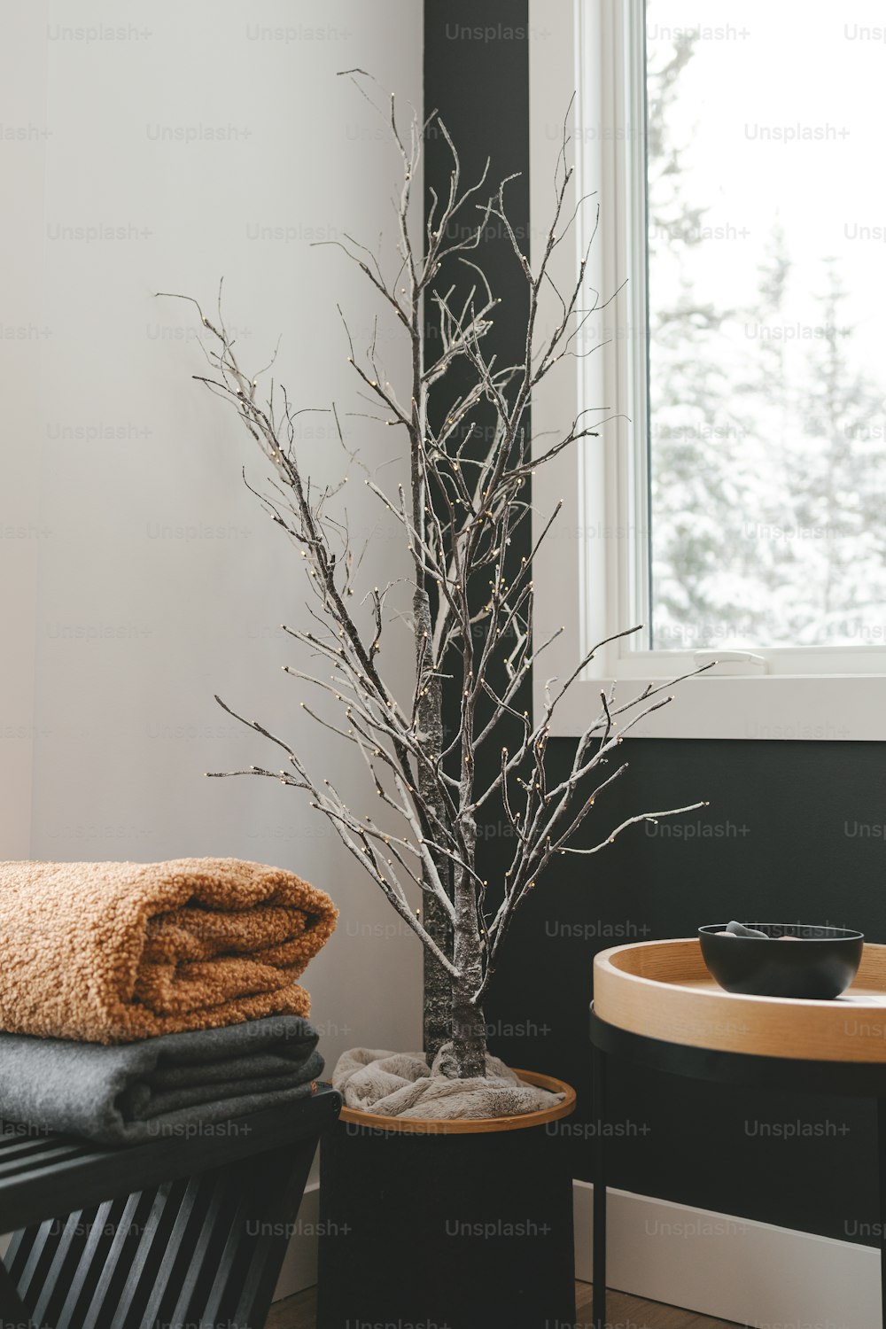 a black and white bathroom with a tree in the corner