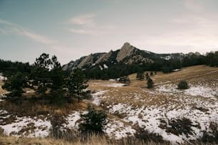 ein grasbewachsenes Feld mit Schnee auf dem Boden und einem Berg im Hintergrund