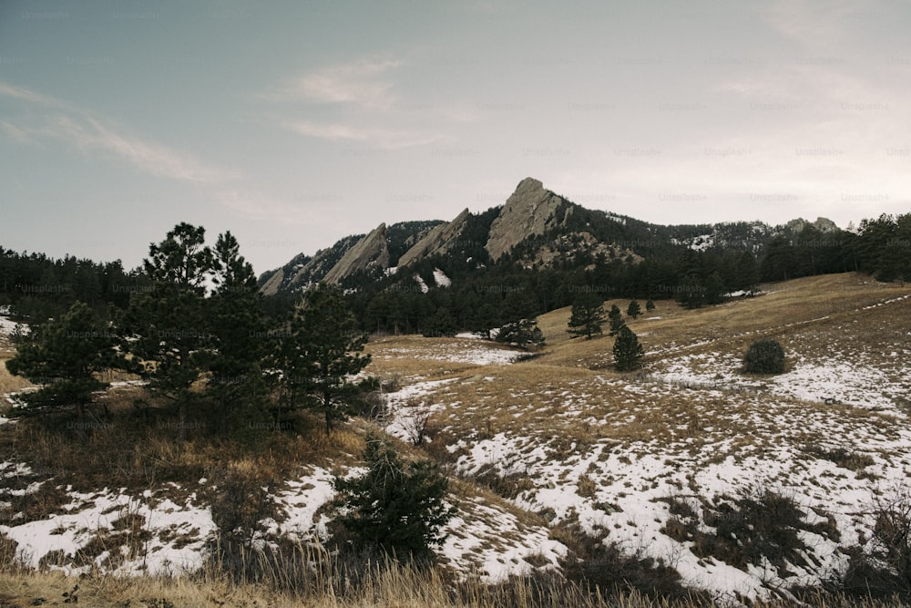 un campo erboso con neve sul terreno e una montagna sullo sfondo