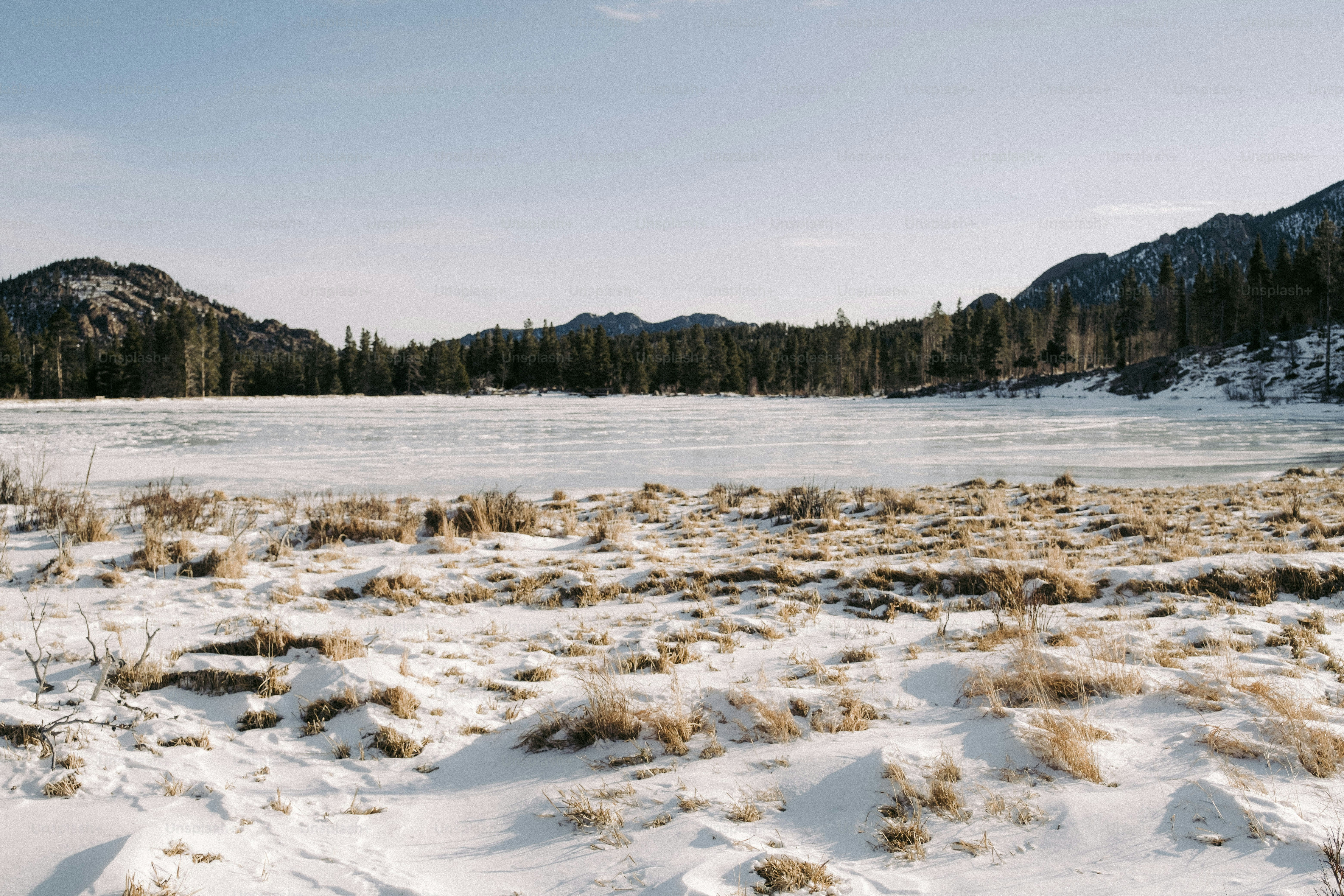 Un campo cubierto de nieve con un lago y montañas al fondo
