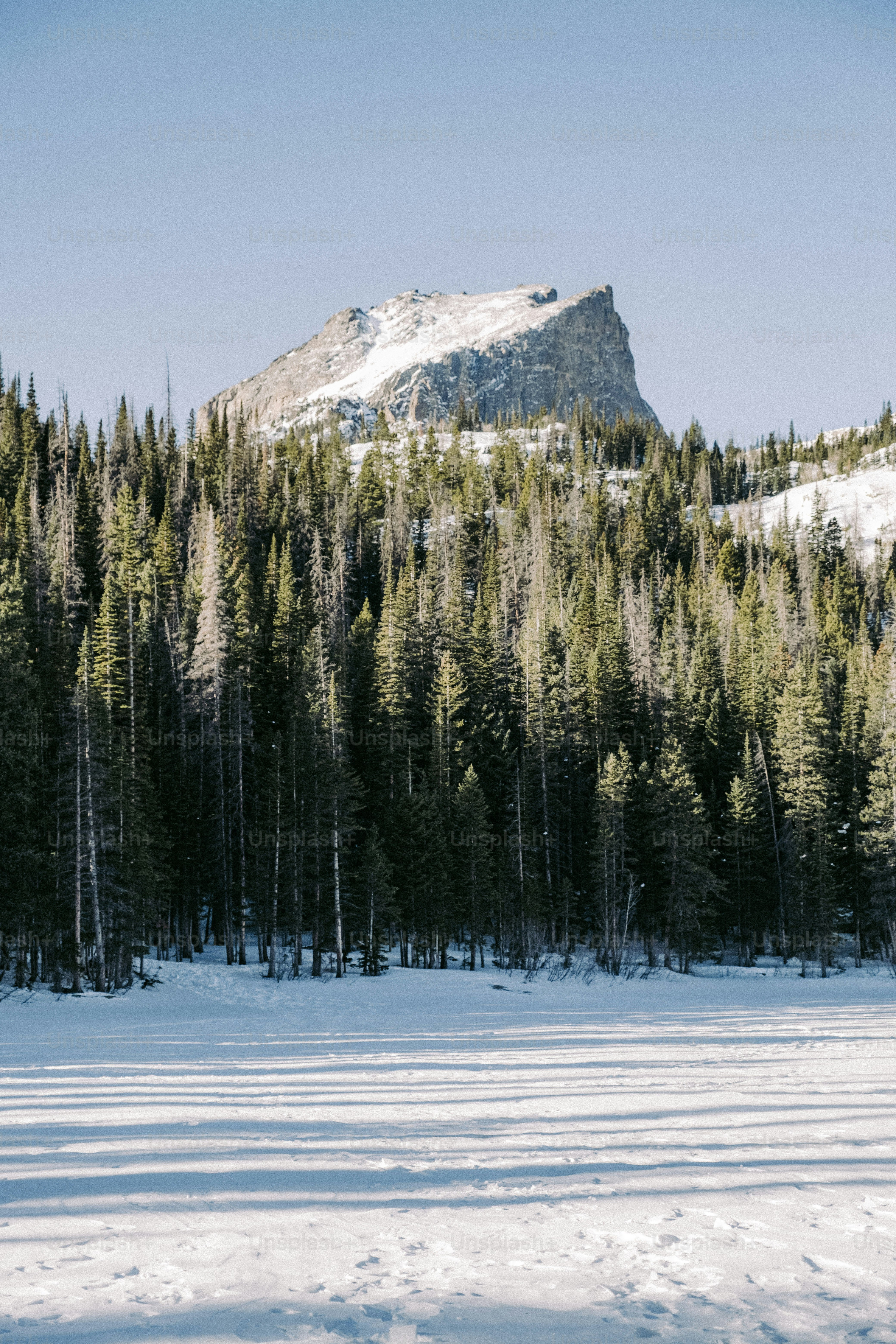 a snow covered field with trees and a mountain in the background