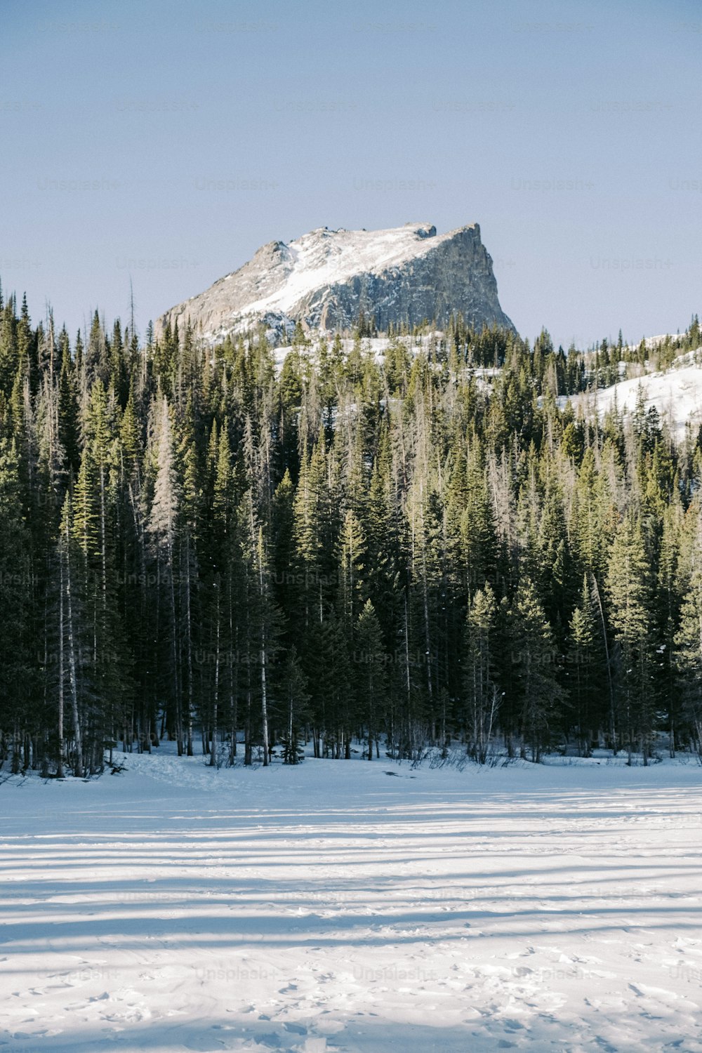 ein schneebedecktes Feld mit Bäumen und einem Berg im Hintergrund